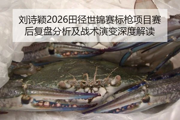 刘诗颖2026田径世锦赛标枪项目赛后复盘分析及战术演变深度解读